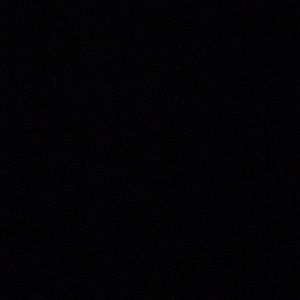 Meet your Posher, Bub